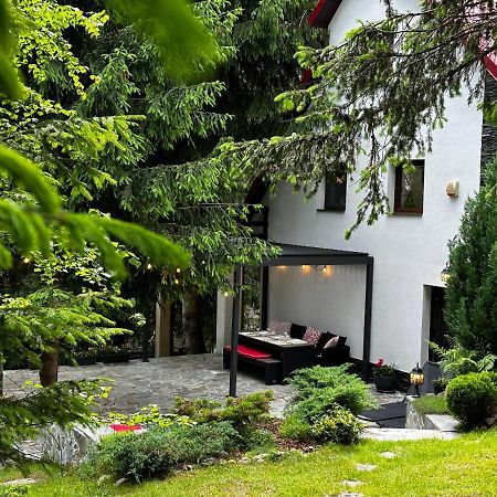 Mountain Chalet - Cabana La Muntele Baisorii Muntele Cacovei  المظهر الخارجي الصورة