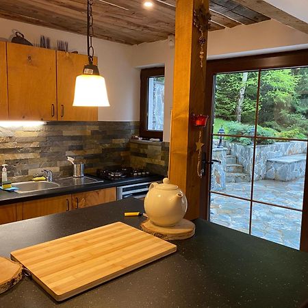 Mountain Chalet - Cabana La Muntele Baisorii Muntele Cacovei  المظهر الخارجي الصورة