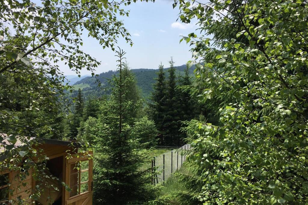 Mountain Chalet - Cabana La Muntele Baisorii Muntele Cacovei  المظهر الخارجي الصورة