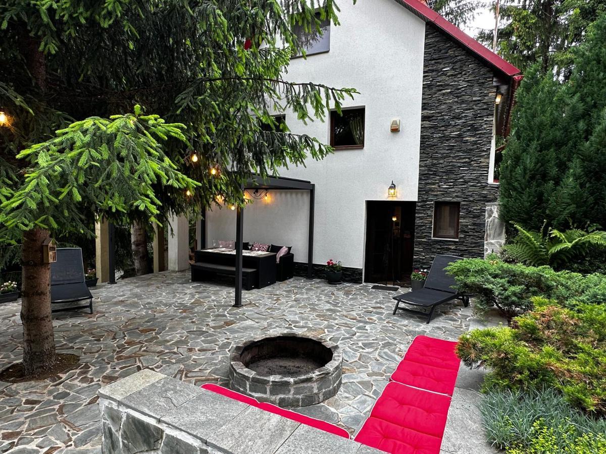 Mountain Chalet - Cabana La Muntele Baisorii Muntele Cacovei  المظهر الخارجي الصورة