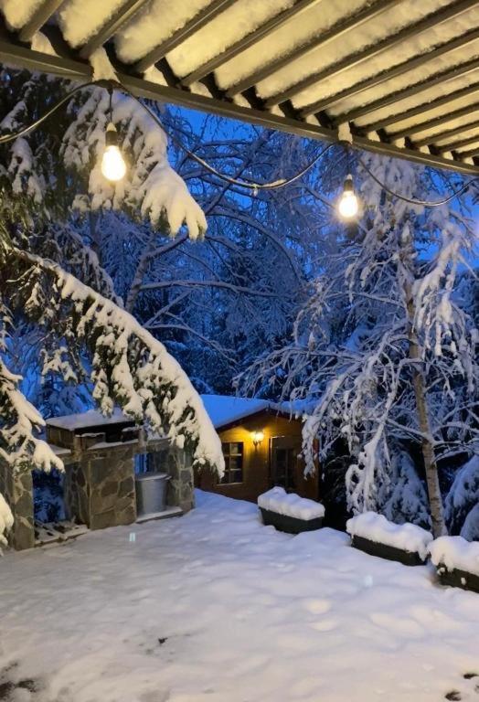 فيلا Mountain Chalet - Cabana La Muntele Baisorii Muntele Cacovei  المظهر الخارجي الصورة