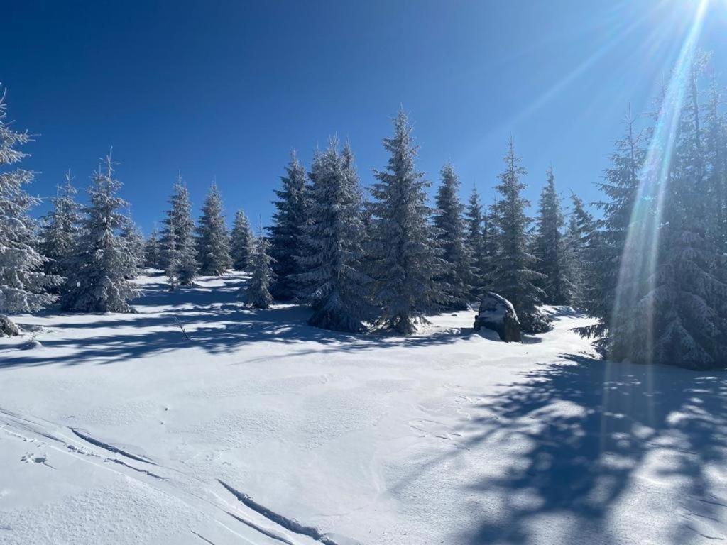 فيلا Mountain Chalet - Cabana La Muntele Baisorii Muntele Cacovei  المظهر الخارجي الصورة